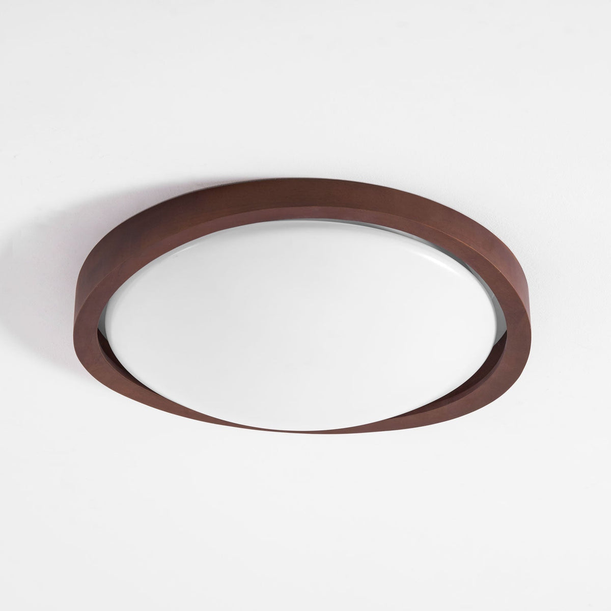 Sylvian Ceiling Light