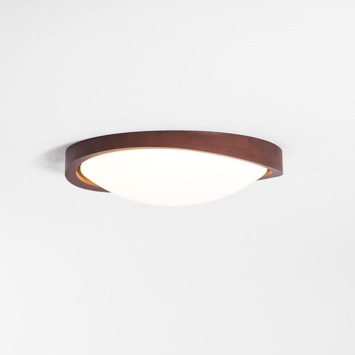 Sylvian Ceiling Light