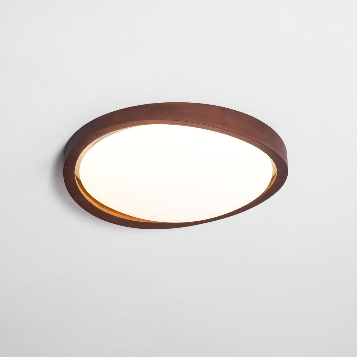 Sylvian Ceiling Light
