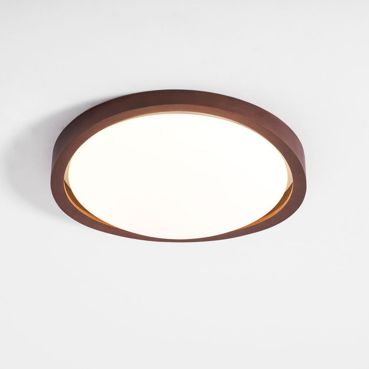 Sylvian Ceiling Light