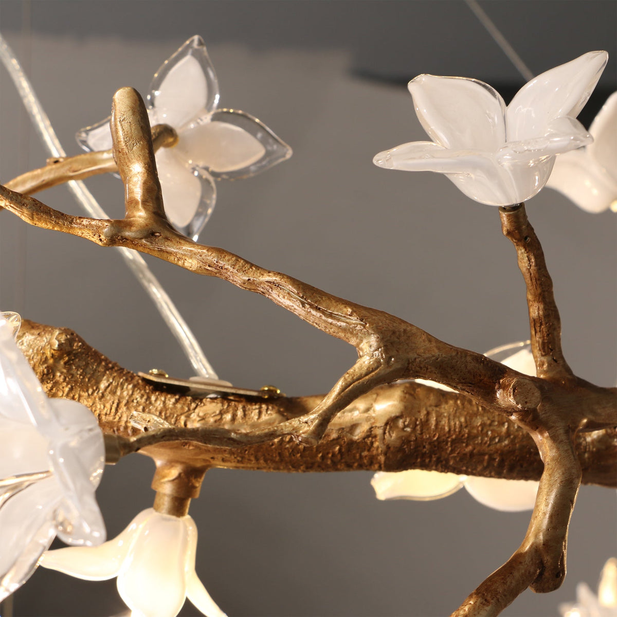 Renoora Chandelier